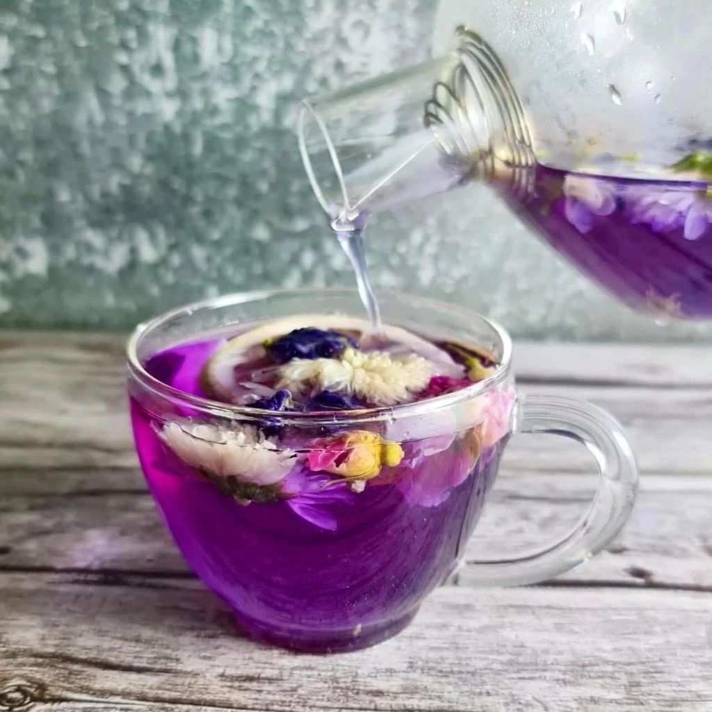 Mộc Trà オーガニック バタフライピー五味茶 10包セット - 消化・心血管・免疫力サポート