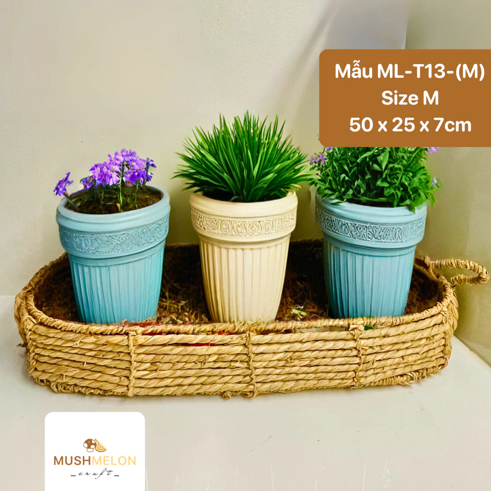 天然シーグラストレイ Mサイズ：多目的収納、お茶会、化粧品、調味料、新築祝いギフト、インテリア雑貨