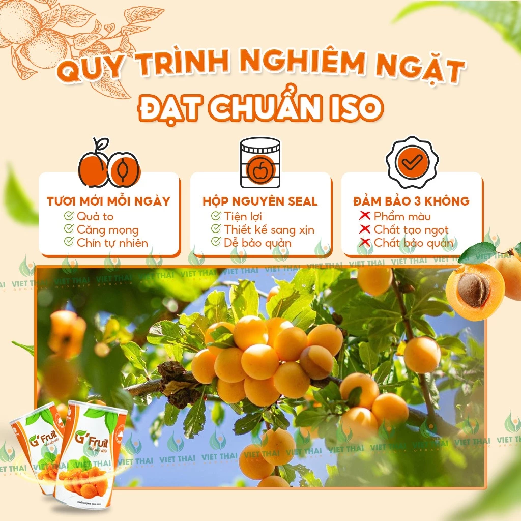 【新登場】G'Fruit 完熟ドライアプリコット 300g - トルコ産 無添加・無糖 ヘルシーおやつ by Viet Thai Organic