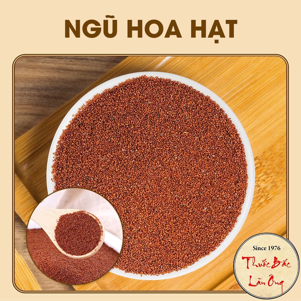 ゴウカシード（チャンディンリッチ）100g フェイスマスク用 天然成分でツヤ肌・美白へ