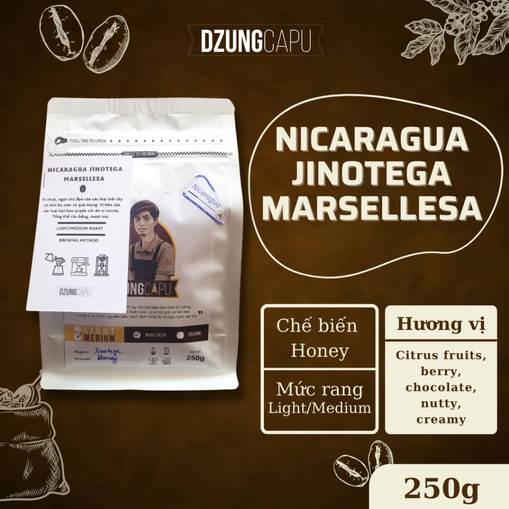ニカラグア ヒノテガ コーヒー - マルセレサ品種 - 蜂蜜前処理 - 250g パック - ズンカプ スペシャルティ コーヒー - 浅煎り - 全豆
