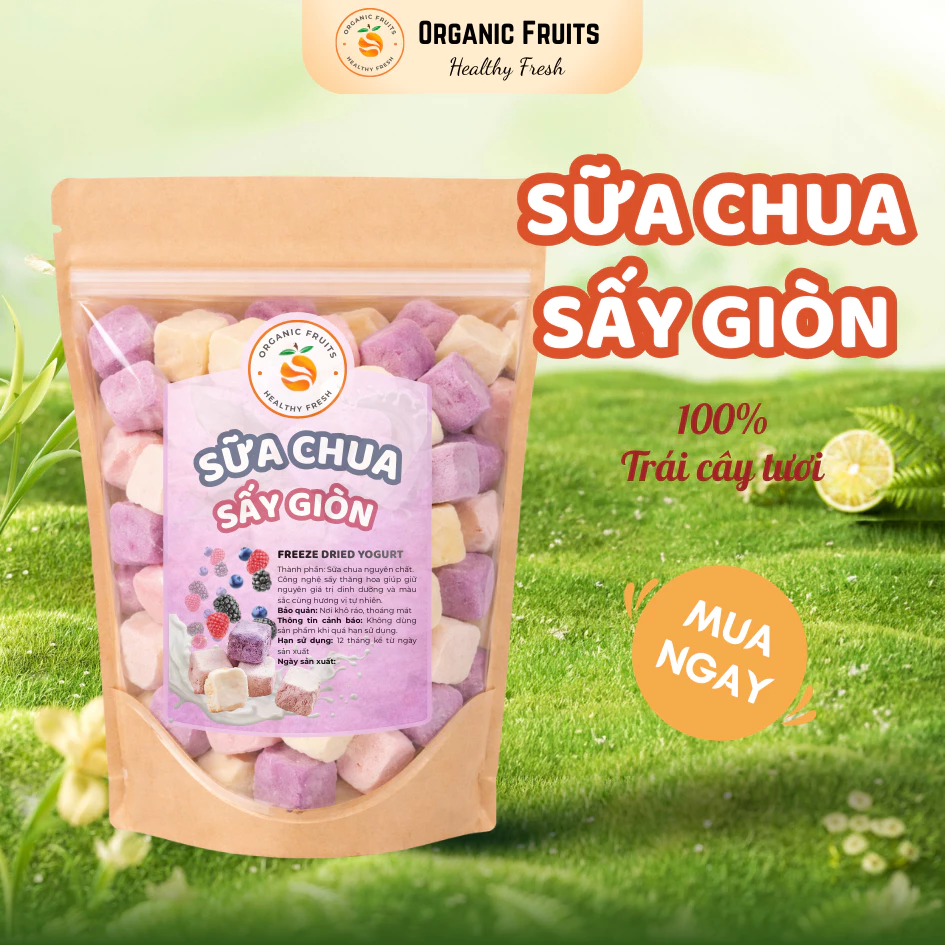 オーガニック フリーズドライヨーグルト 500g - サクサク食感、ほんのり甘酸っぱいヘルシースナック