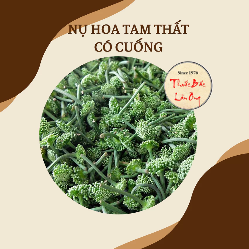 有機 田七人参つぼみ茶 ベビーバッド 茎付き 500g【特級品質】