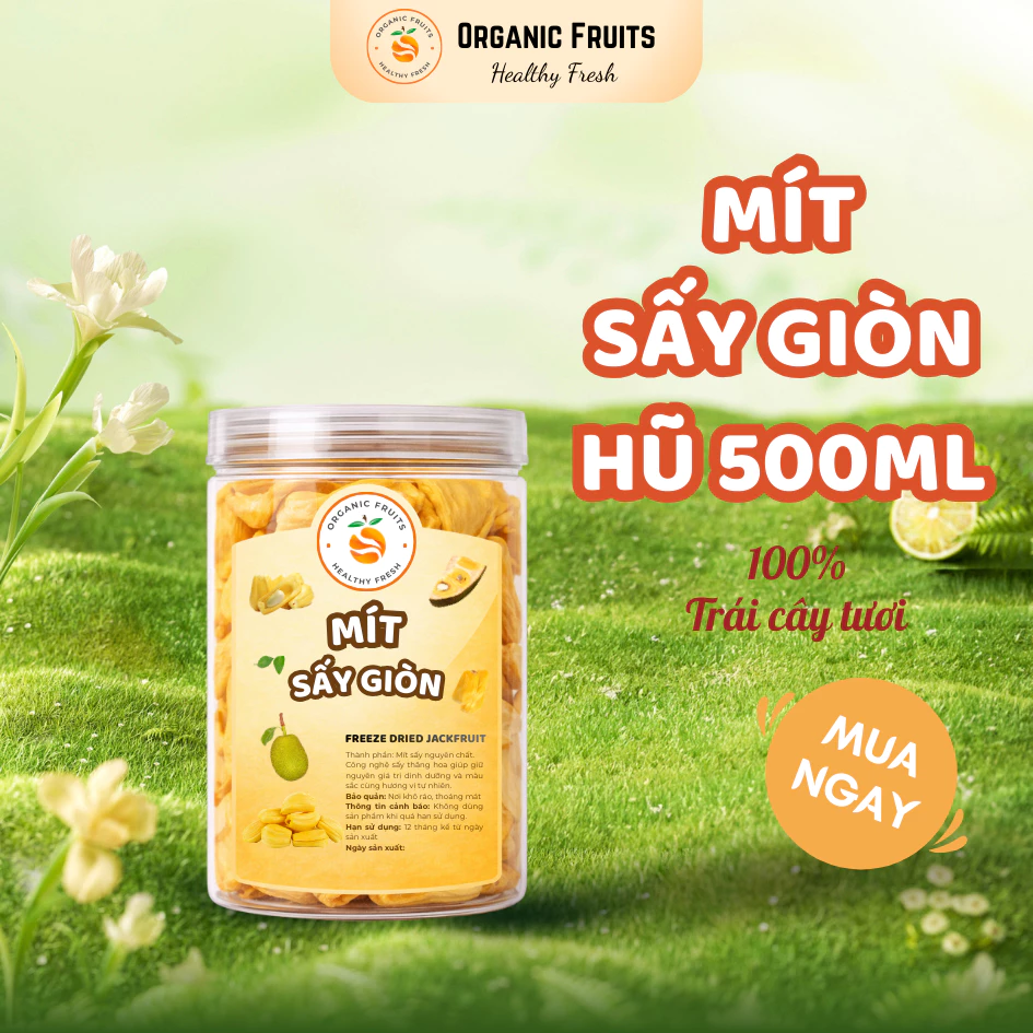 【オーガニック】タイ産プレミアムドライジャックフルーツ 500MLボトル – サクサク食感、自然な甘さ、砂糖不使用