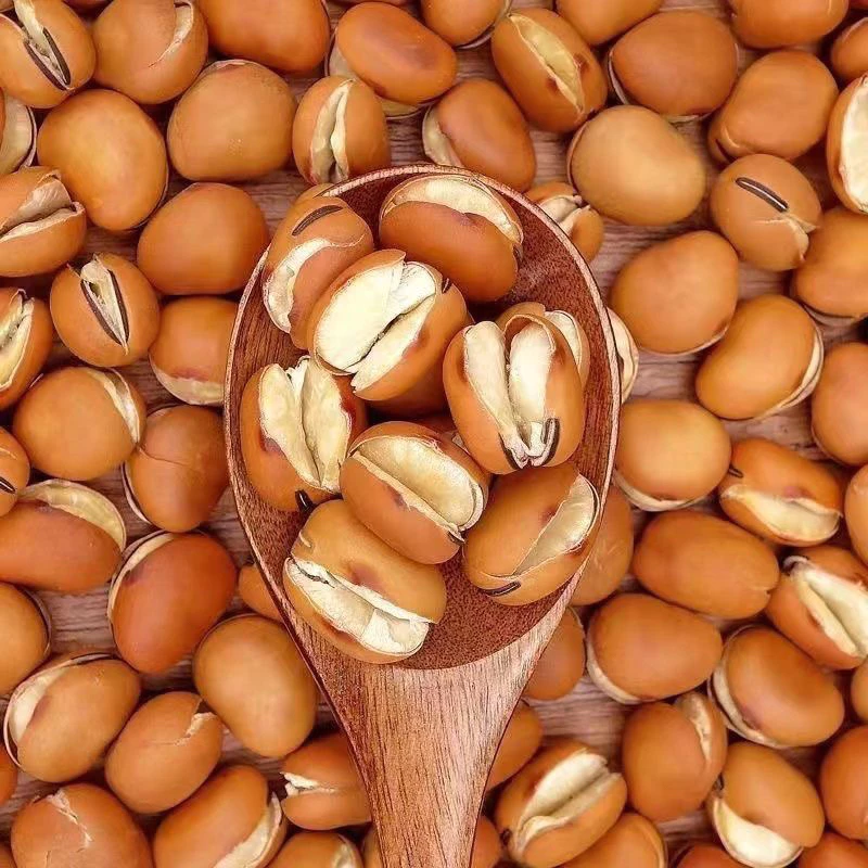 オーガニック塩ローストそら豆（無添加・自家製）250gジップパック - サクサク美味しい健康スナック