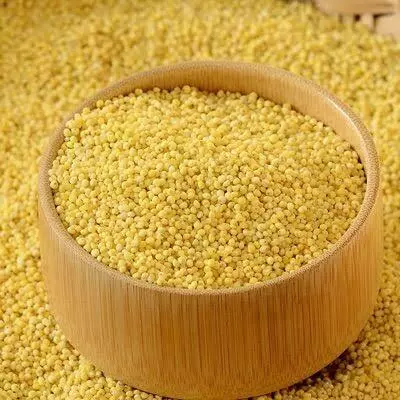 オーガニックフード47 餅きびミルク用 500g | 栄養豊富なプレミアム穀物