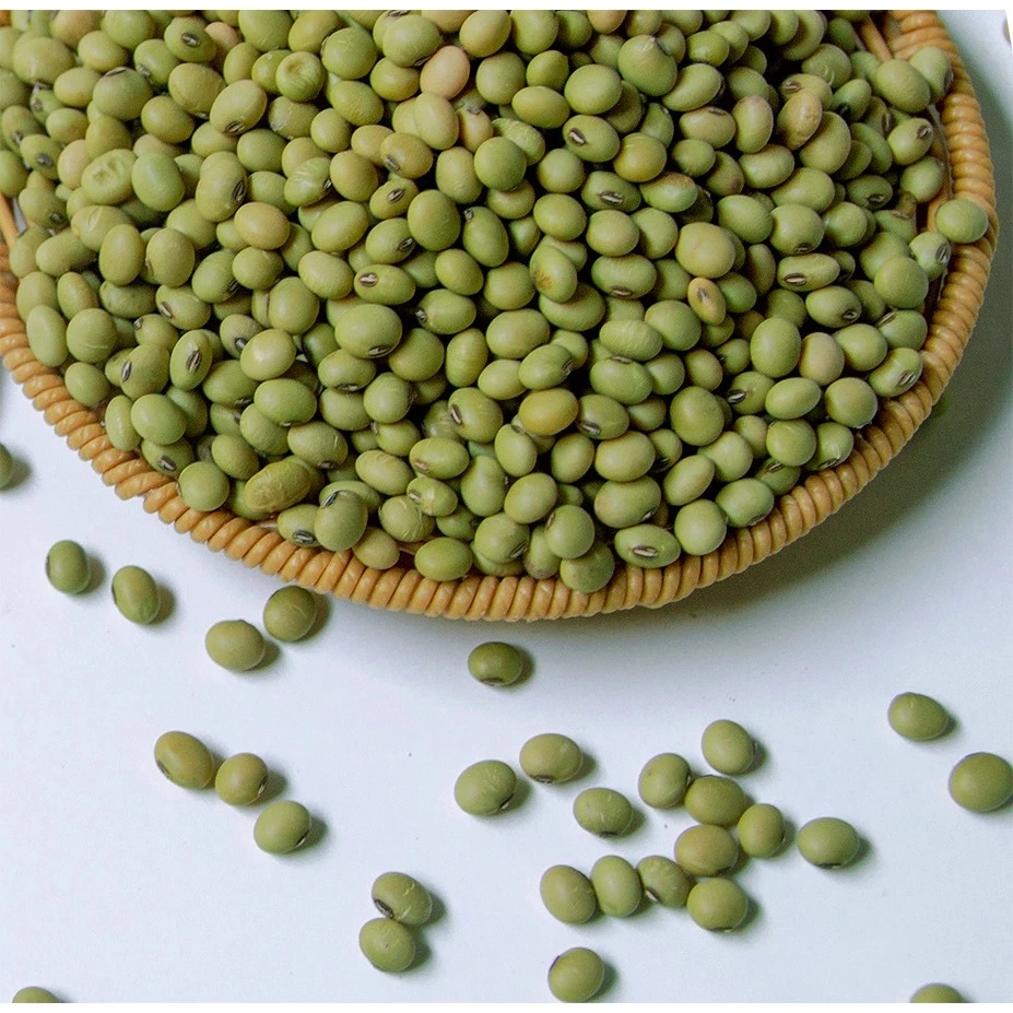 Organicfood47 青皮大豆ミルク用 500g - 高級栄養ナッツミルクの素