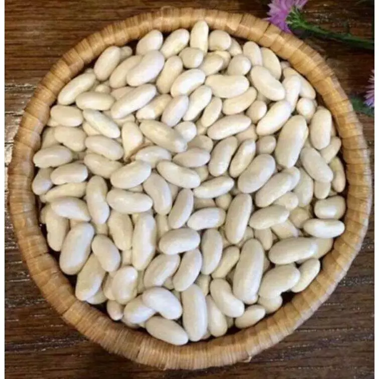 Organicfood47 有機白インゲン豆 ミルク用 500g | プレミアム栄養ナッツ