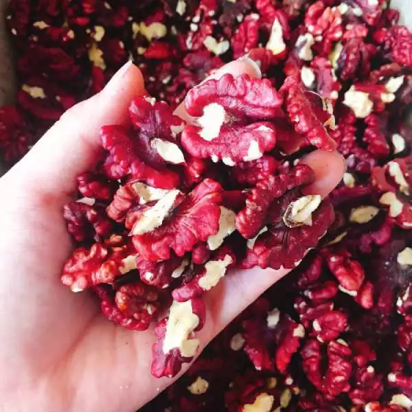 Organicfood47 赤くるみカーネル 500g - プレミアム栄養ナッツミルク用