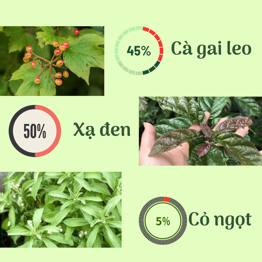 黒刺茶＆カガイレオ茶：肝臓デトックス・体質改善セット（南葉茶プレゼント）
