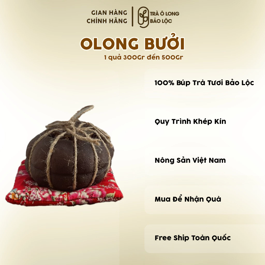 【ベトナム高級茶】バオロク産 熟成文旦烏龍茶（オールドプーアル風）400-500g 1個