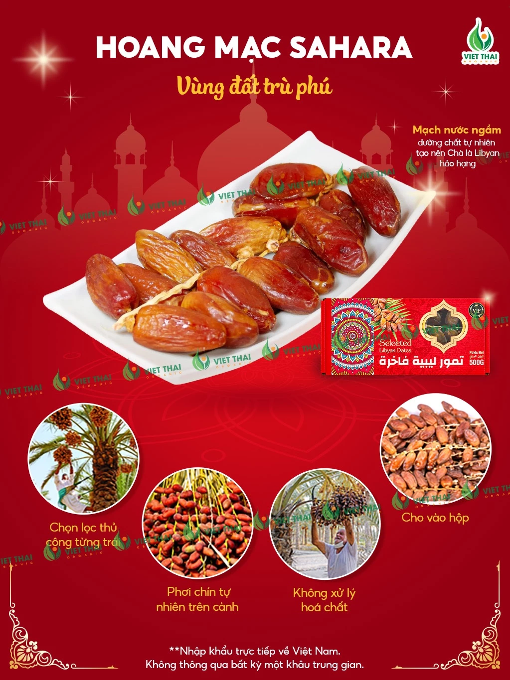 【最高品質】チュニジア産オーガニックデーツ 枝付き・バラ 500g | 自然な甘さ 砂糖不使用 お歳暮・お年賀にも最適 (ベトナムタイオーガニック)