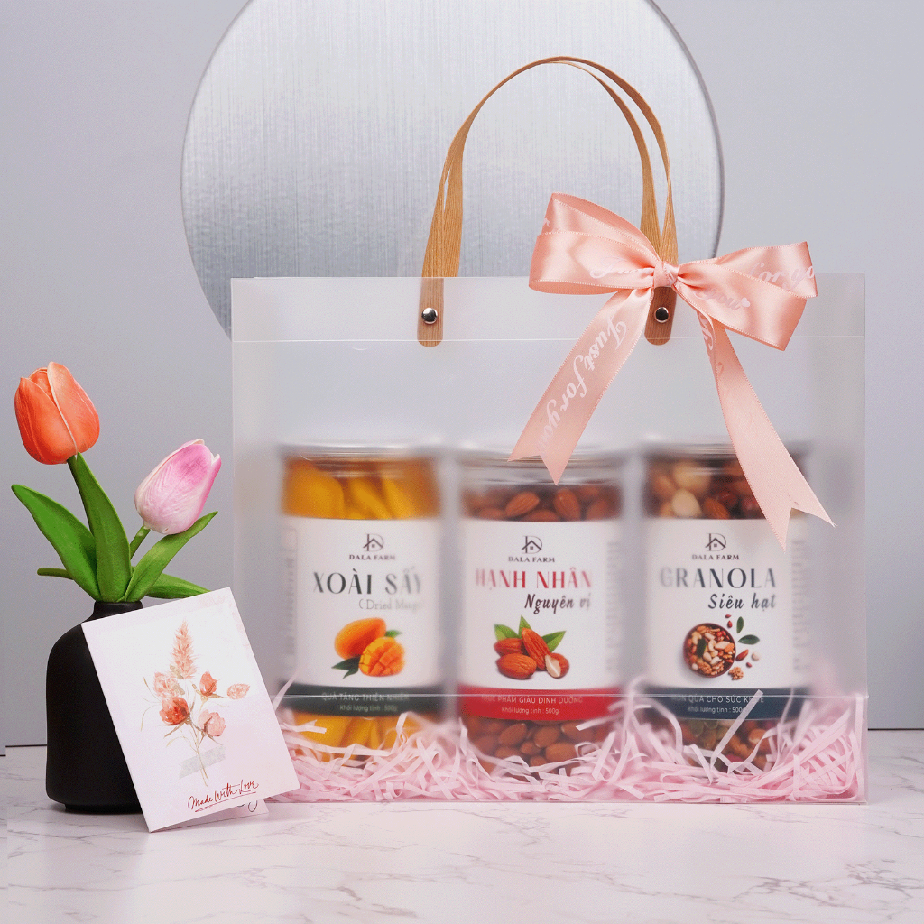プレミアムナッツギフト セット ドライマンゴー アーモンド グラノーラ 健康志向 500g GIFTMAKER