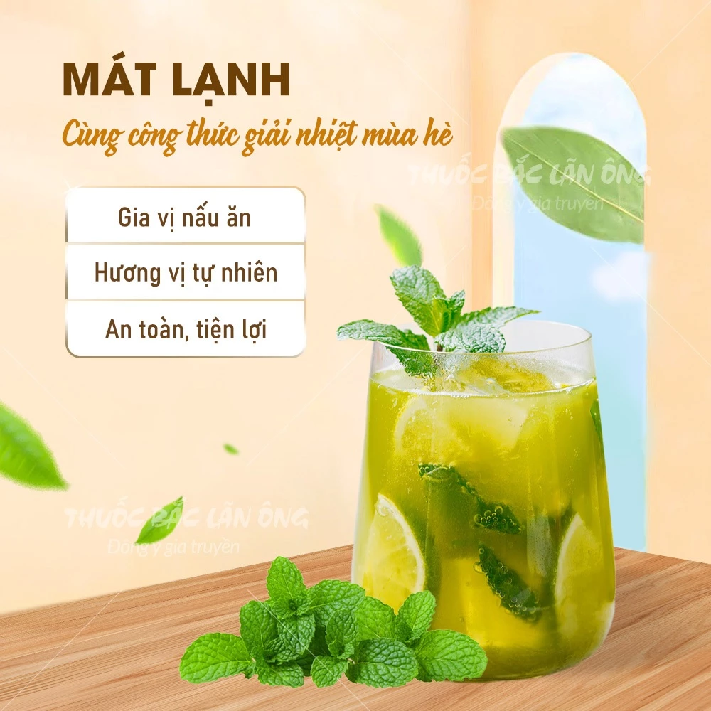 純粋フリーズドライミントパウダー 500g(料理や飲み物に爽やかな香りと美しい彩りを)