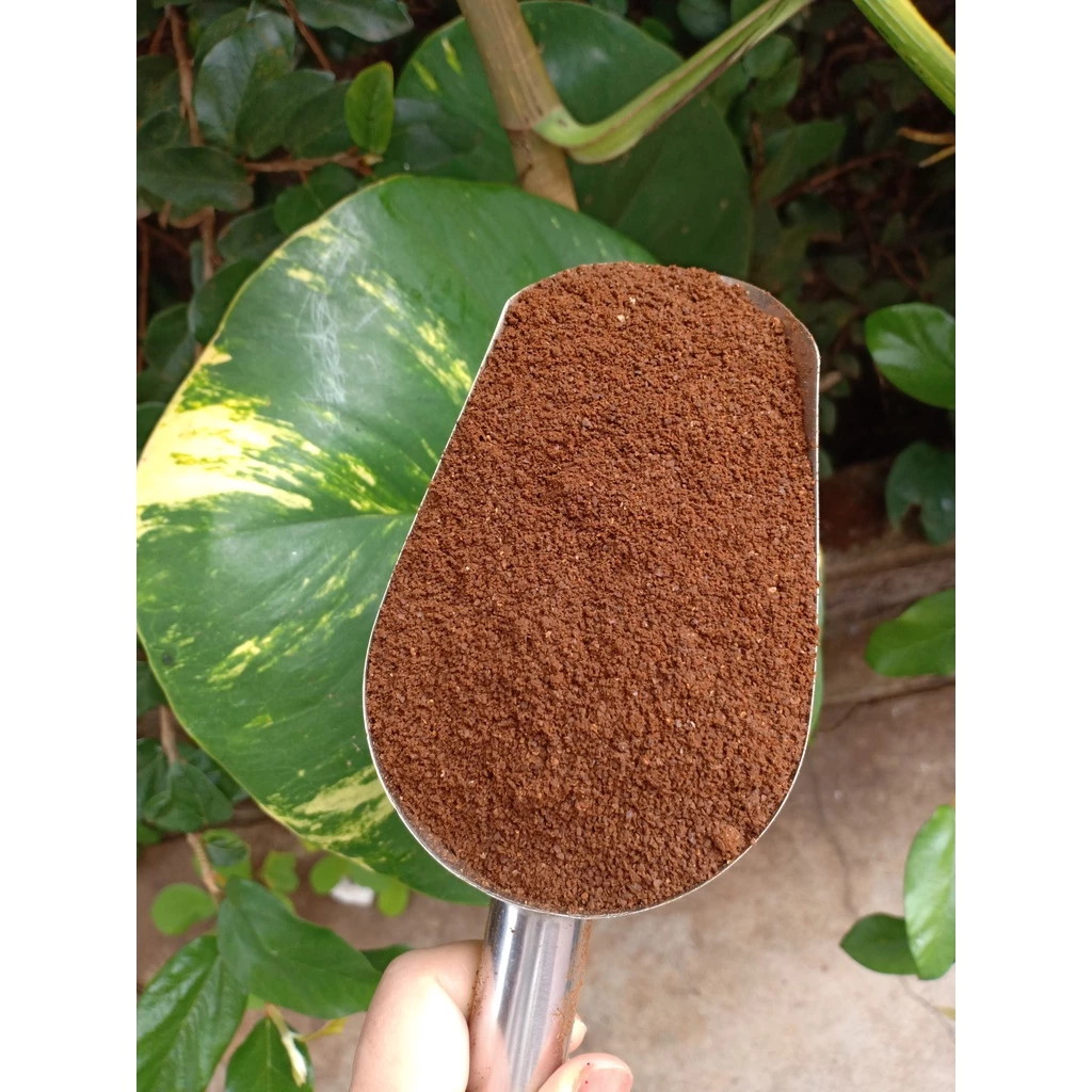 ロバンメ スペシャル1 純粋コーヒー粉 ドリップ＆コールドブリュー用 500g