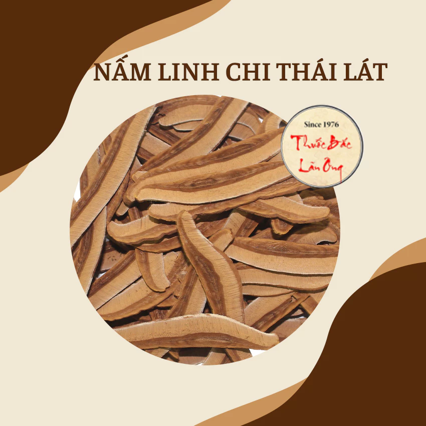 霊芝スライス 100g | 野生霊芝 | 健康茶・薬膳スープに