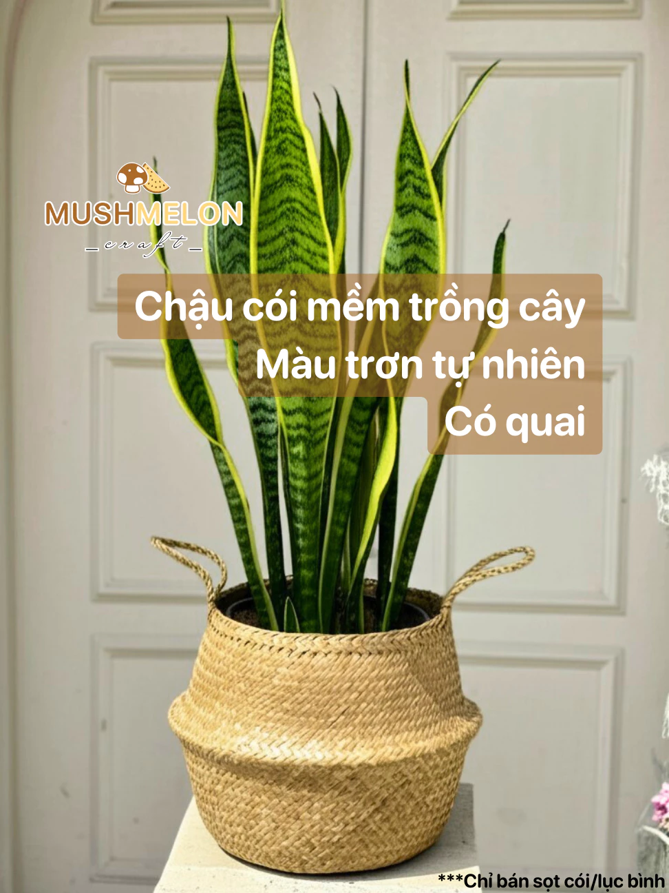 柔らかいイグサかご 18x26cm 手編み ハンドル付き 植木鉢カバー 雑貨収納 インテリア