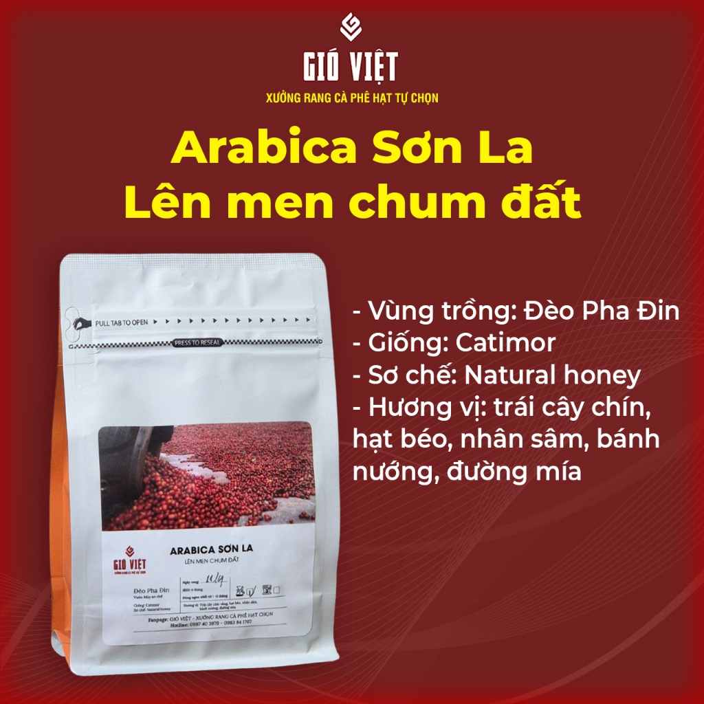 特別な土瓶で発酵させたソン ラ アラビカ - フルーティーな風味、高麗人参、脂肪の多い種子 - ジオ ヴィエット - 250gr - ライト - 温かいビアレッティにブレンド