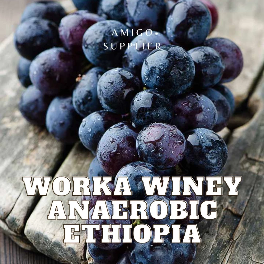 【スペシャルティ】エチオピア ウォルカ ワイニー アナエロビック 精製 焙煎豆 200g