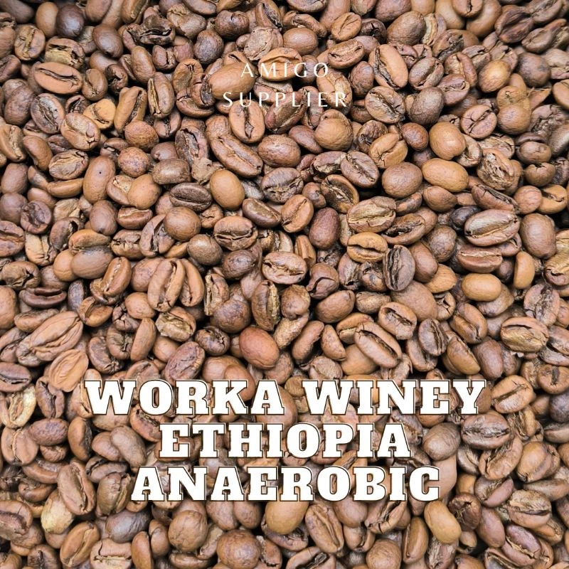 [スペシャルティ] エチオピア ウォルカ ワイニー アナエロビック 焙煎コーヒー豆 500g