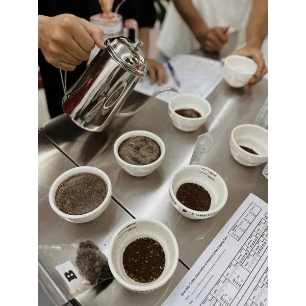 スチューピーダックス ブルー・ウォーデンズ・デイ ジャスミン＆シトラス (水曜日) ポアオーバー用スペシャルティコーヒー粉 100g