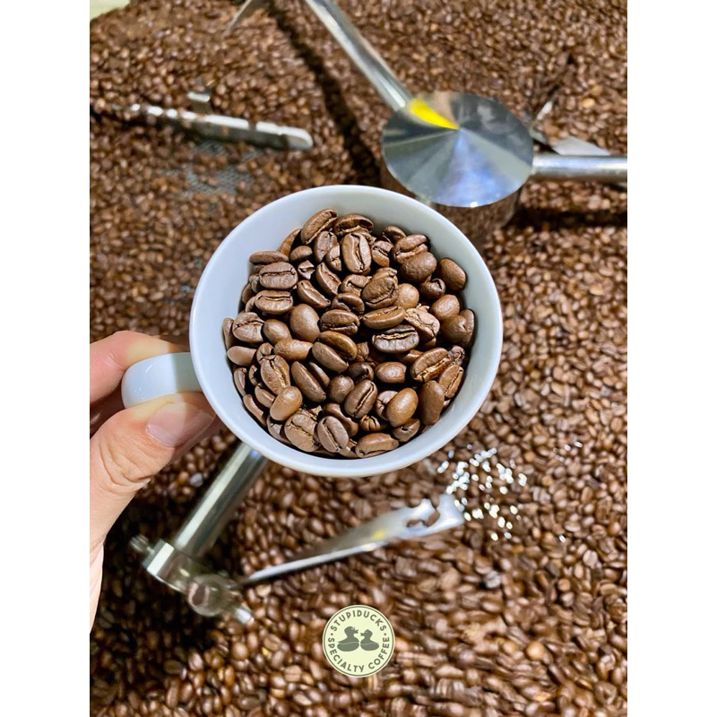 スチューピダックス スペシャルティコーヒー ブラジル サントアントニオ ショコラ アラビカ 中深煎り 細挽きコーヒー粉 150g (Phin/エスプレッソ向け)