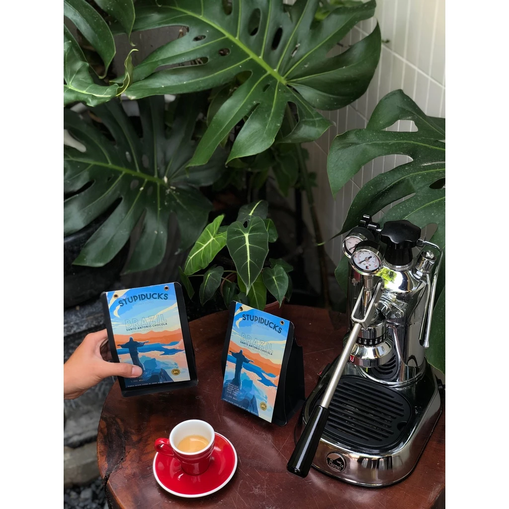 ストゥーピーダックス スペシャルティコーヒー ブラジル サントアントニオ ショコラ アラビカ 中深煎り コールドブリュー用コーヒー粉 500g