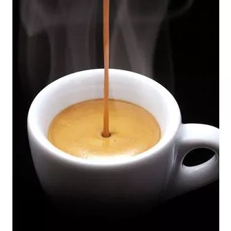 Stupiducks Specialty Coffee - カウダット産アラビカSHG Lotus 100% 深煎り 極細挽き エスプレッソ用コーヒー粉 1000g