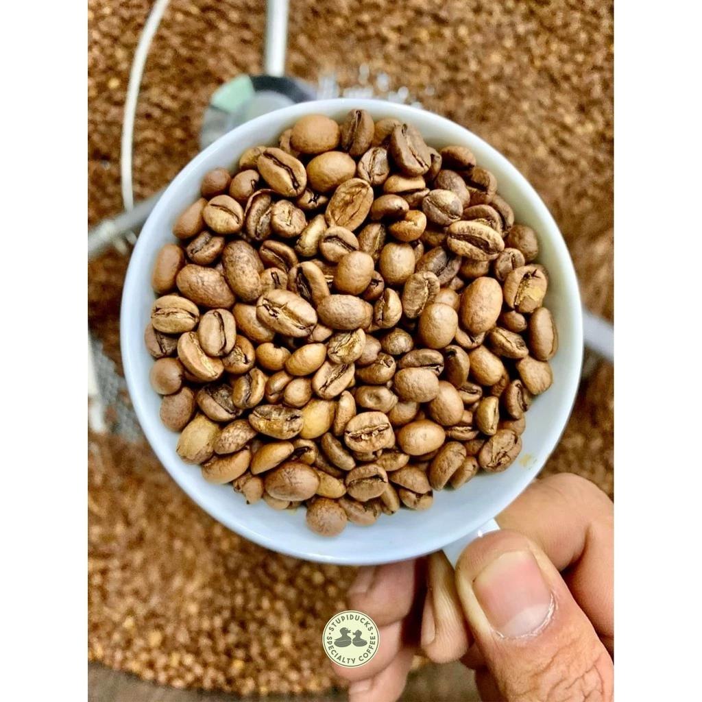 Stupiducks スペシャルティコーヒー エチオピア ベンサ シダマ ヘアルーム ナチュラルG1 フィン用極細挽き粉 250g