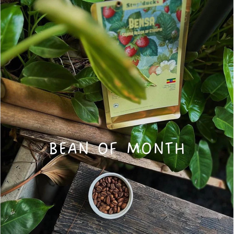 スペシャルティコーヒー エチオピア ベンサ シダマ デラ ヘアルーム ナチュラル グレード1 - Stupiducks ポアオーバー用挽き豆 150g