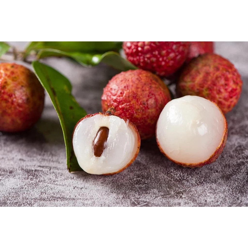 Stupiducks エチオピア オロミア ブクアベル G1 ヘアルーム ナチュラル スペシャルティコーヒー 500g（プアオーバー用挽き豆）