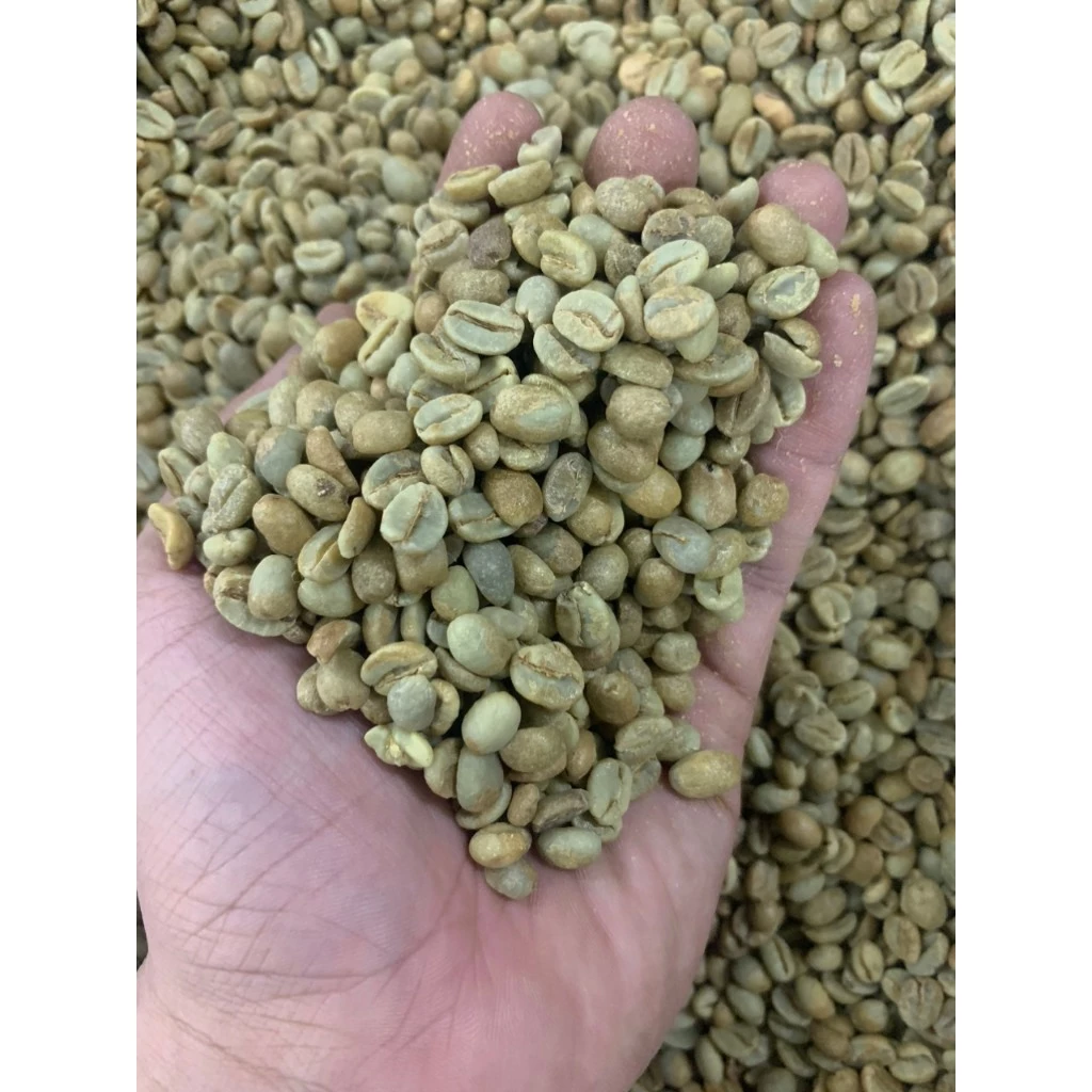 スチューピダックス スペシャルティコーヒー | ケニア オタヤ FCS キアグツ農園産 AA ナチュラル アラビカ細挽きコーヒー粉 250g (ベトナム式フィン抽出用)