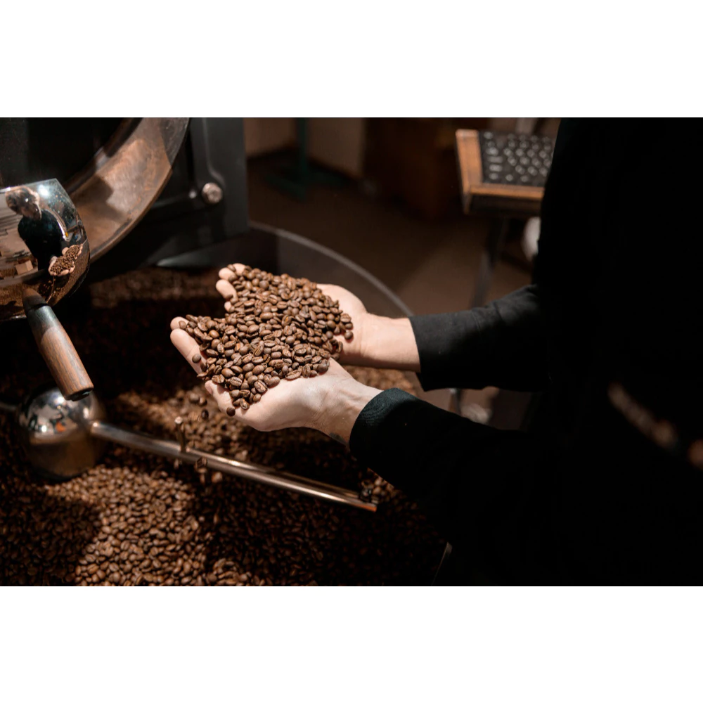 Stupiducks Specialty Coffee (SSCロースター) ブルーウォーデンズデイ ジャスミン＆シトラス コールドブリュー用 スペシャルティコーヒー粉 500g