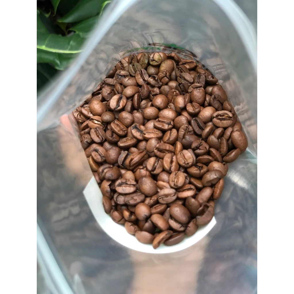 Stupiducks Specialty Coffee (SSC Roaster) ブラジル産アラビカ 中深煎り エスプレッソ用 極細挽きコーヒー粉 500g 甘い後味