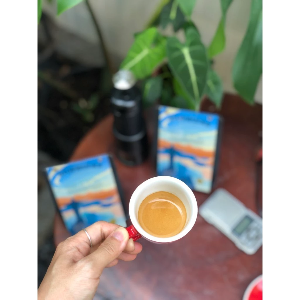 Stupiducks Specialty Coffee (SSC Roaster) ブラジル産アラビカ 中深煎り エスプレッソ&phin用 微粉挽き 甘い後味 1000g 大容量