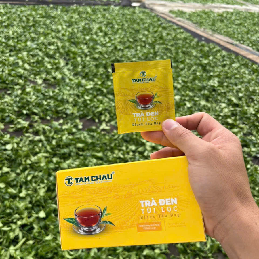 タムチャウ紅茶 ティーバッグ 25袋入り (2g x 25袋) | ベトナム産 高原ブラックティー
