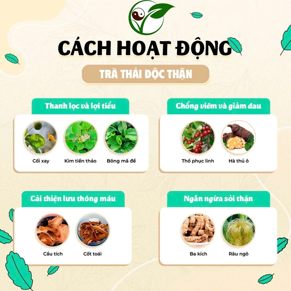 「Thảo Mộc Xanh Farm」腎臓デトックスティー - 腎臓・尿路の健康をサポート（腎臓・尿路結石、腎機能回復に）- ティーバッグ30個入り