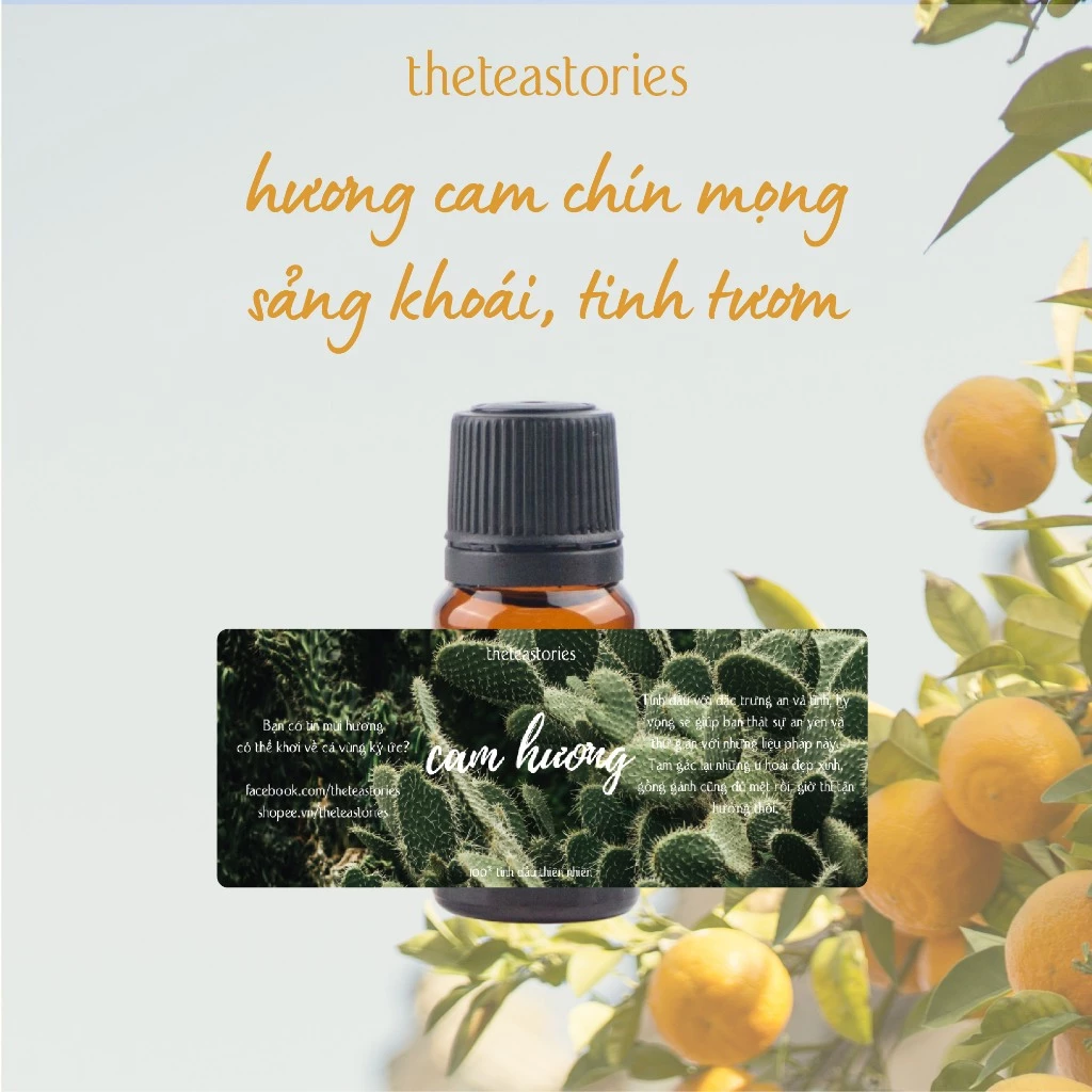 The Tea Stories ベルガモットアロマオイル 10ml 純粋 - 集中力・リフレッシュ、メッセージカード付き