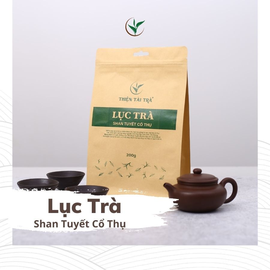 ティエンタイ シャンチュエット 古樹緑茶 特級ハイエンド 200g ティエンタイ