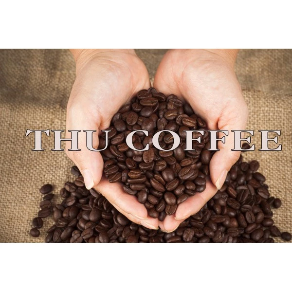 Thucoffee 純粋挽きコーヒー 500g - フィン式抽出用