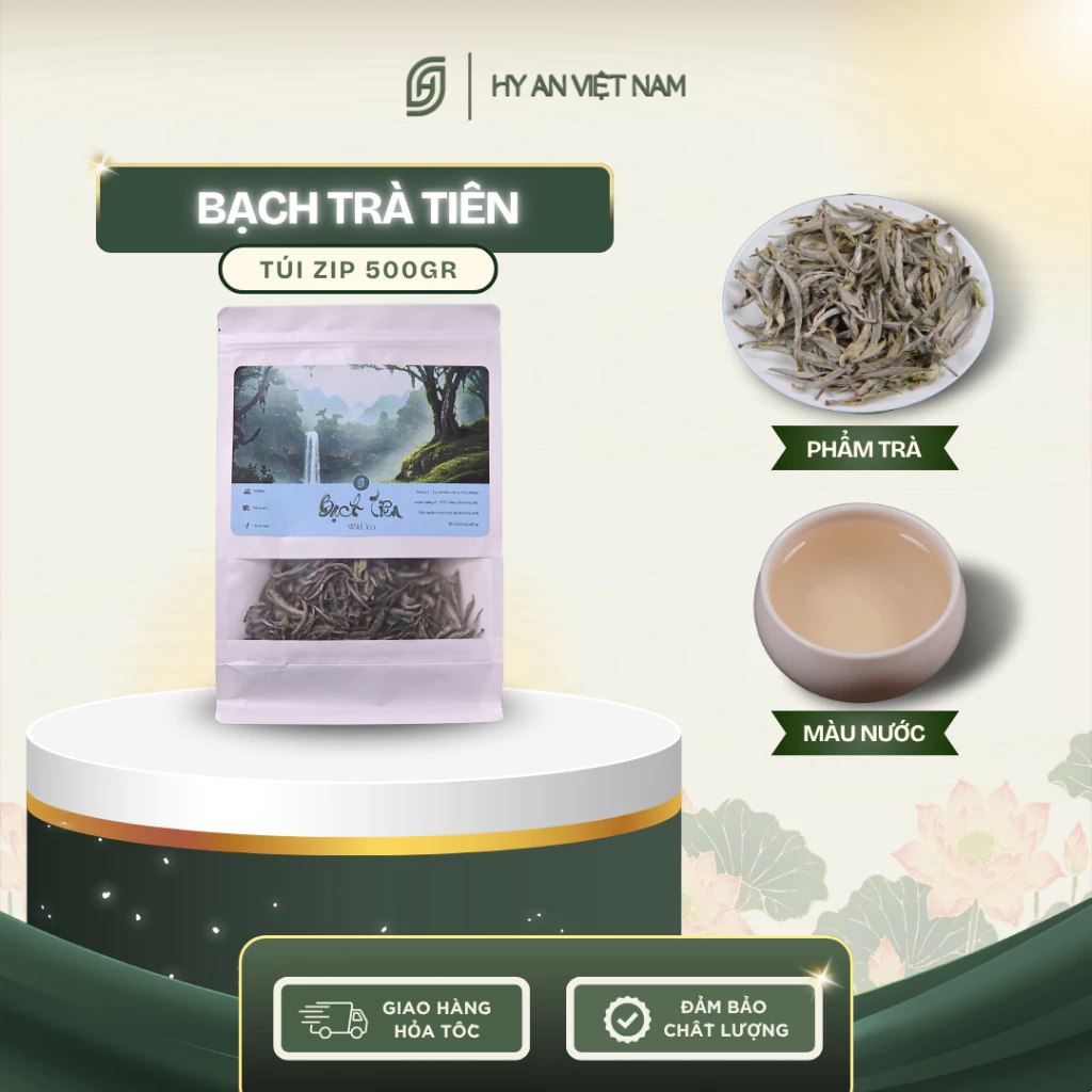 仙ヒア フォレスト白茶 500g - ベトナムの森が育んだ清涼感あふれる自然茶