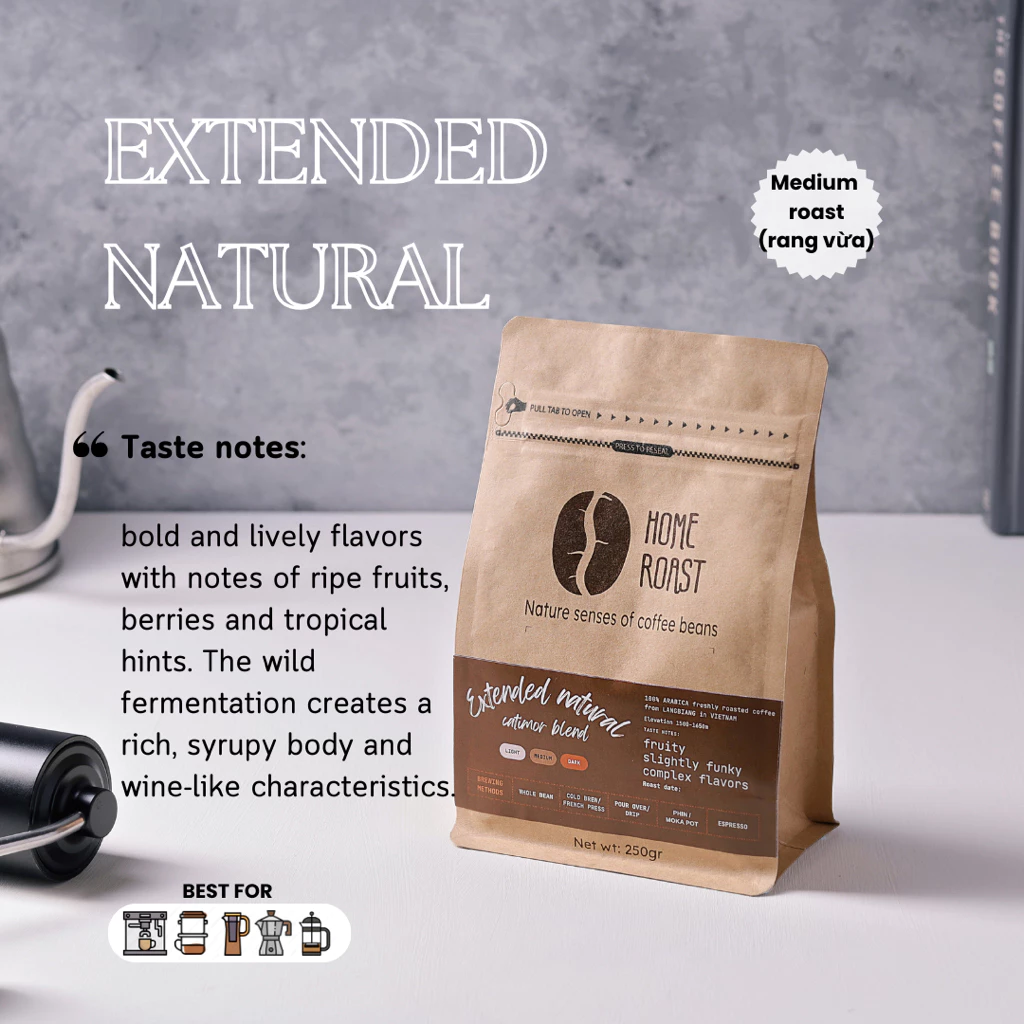 ベトナム ランビアン産 アラビカ スペシャルティコーヒー [EXTENDED NATURAL] コールドブリュー / フレンチプレス用 粗挽き 中煎り 500g