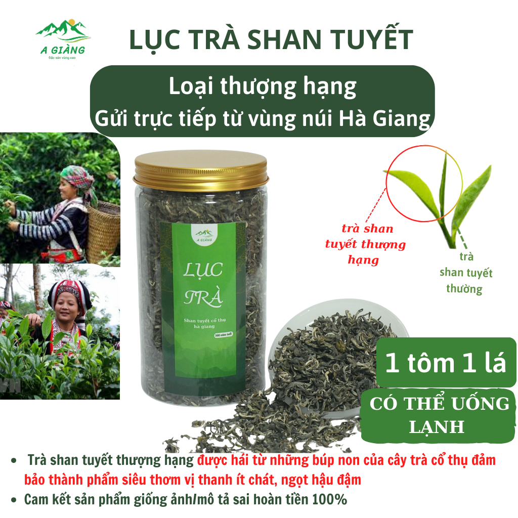 ベトナム茶 シャンツェット 古樹茶 芳醇な香り 100g ハーザン