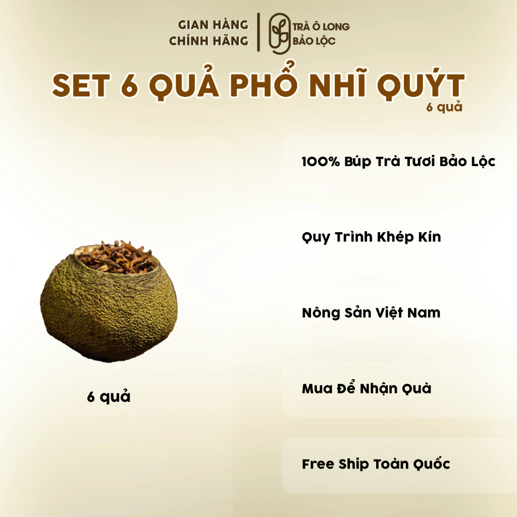 ベトナム産バオロク烏龍茶入り！小青柑プーアル蜜柑茶6個ギフトセット