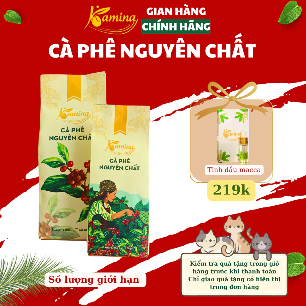 【本場の味】ベトナムブレンドコーヒー豆 500g ジップ袋 – 濃厚なコクと香り、挽きたて