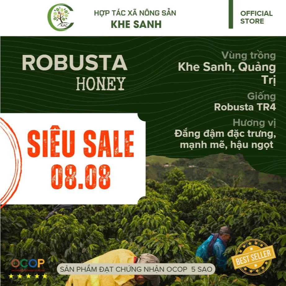 ベトナム ケサン産 ロブスタコーヒー粉 (中挽き) 250g - 濃い苦味を極めた本格派