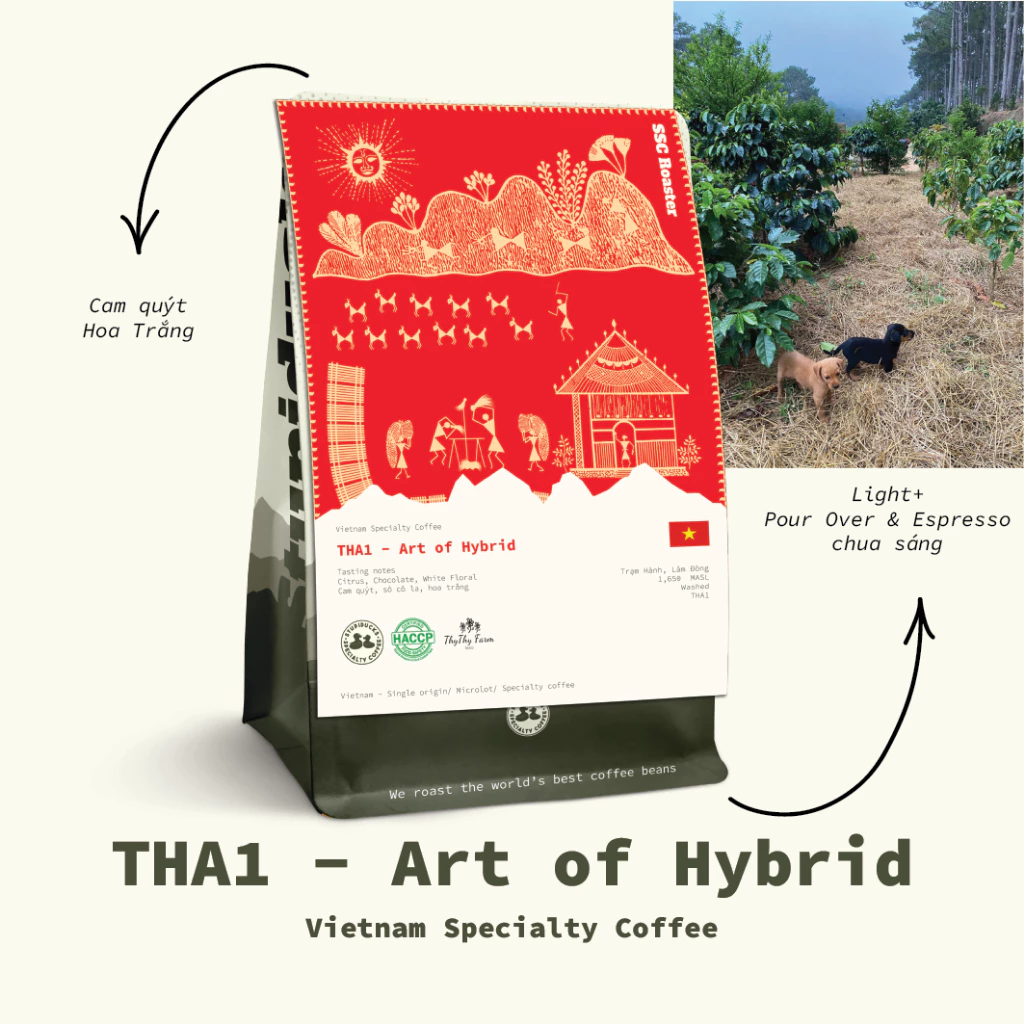 【コールドブリュー専用】ベトナムTHAI1ハイブリッドコーヒー豆（挽き粉）トラムハン産 500g - Stupiducks SSC Roaster