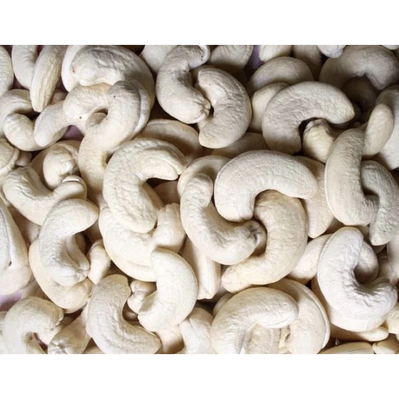 Vigonuts 生カシューナッツ（ホール・皮なし）500g | ナッツミルク・製菓・料理用 | 真空パック