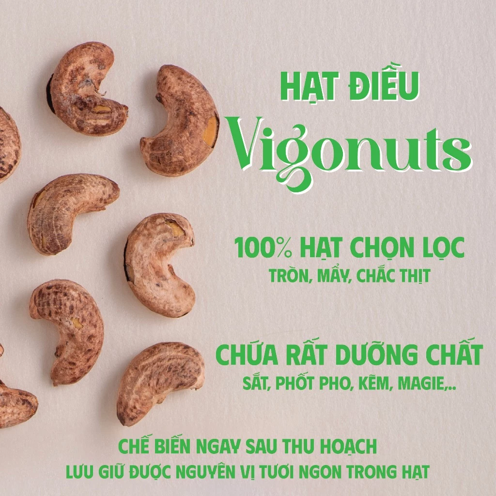 VIGONUTS 高級わさび味カシューナッツ 500g | ぴり辛濃厚！サクサク香ばしい、腸活にも