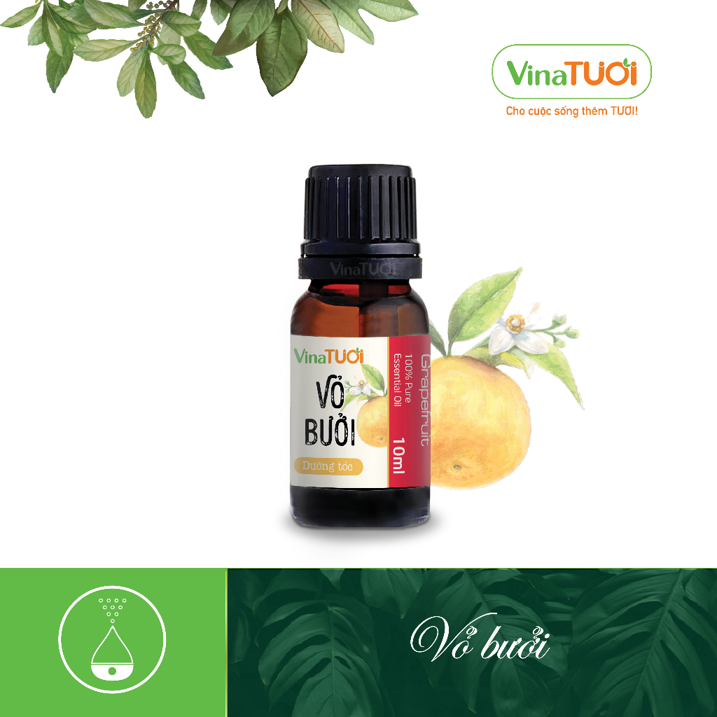 VINA TƯƠI グレープフルーツピール精油 10ml 品質検査証付き